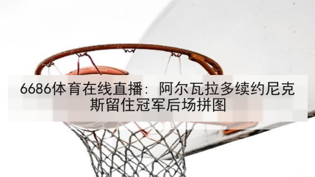 6686体育在线直播: 阿尔瓦拉多续约尼克斯留住冠军后场拼图