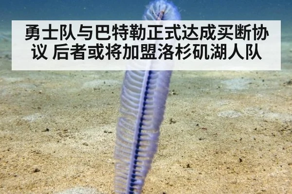 勇士队与巴特勒正式达成买断协议 后者或将加盟洛杉矶湖人队